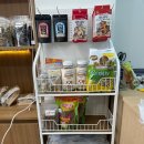 골든햄스터분양 탬펫 이미지