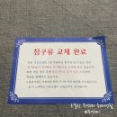 코웨이다온 네이버블로그