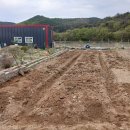 신흥1농장 이미지