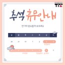 티아솔루션