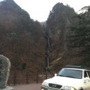 신기목장 이미지