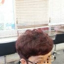 헤어카리스마 - 경산시 | 헤어카리스마