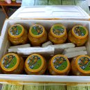 어등재활원 이미지