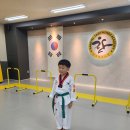 운정 경희대 한결태권도장 이미지