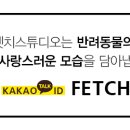 스튜디오코기 이미지