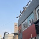 두끼목포 이미지