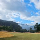 챔피온골프장 이미지