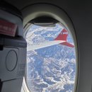 11620-14-38-8 | [38]유방암 완전관해 실패, 수술결과, 아형변경 호르몬치료