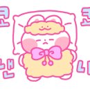 디자인슈