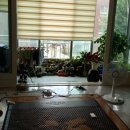 청룡동-3 이미지