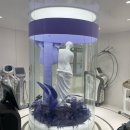 레옹안경 | 피부탄력 시술 효과 있을까? 남편이 받아본 레이저 티타늄 리프팅 후기(통증, 부작용)