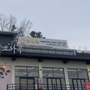 아이뽀 애견 유치원 호텔 | 청주 애견유치원 &amp; 애견호텔 '멍세권' 후기