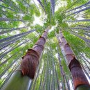 샘양지 마을 이미지