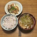 힛포 | 1-3. 유니링크 홈스테이 - 오사카 &lt;5일차 ~ 8일차&gt;