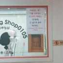 그루밍샵 0105 | 유성애견미용 추천 그루밍샵0105