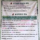 수가솔방 솔잎찜질방 이미지