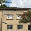 캐슬작은도서관 이미지