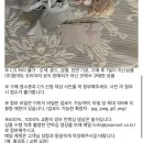 뽑기마트 | 팝마트 뽑기 불량 교환 환불 후기｜CS 게시판 답변까지 걸린 실제 기간