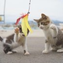 스튜디오하이파이브
