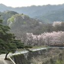 화개햇살민박 이미지