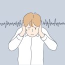 최이비인후과의원 네이버블로그