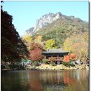 야호 이미지