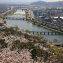 죽도봉공원 이미지