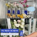[부산 해운대 태그플라워] 해리단길 셀프꽃다발 후기 (셀프부케 추천)