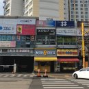 pet226어6595 | (안산/선부동) 선부동 애견미용실 에서 구찌 미용하고 왔어요