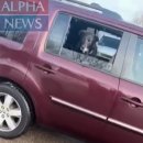 알리바이 이미지