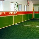 용인대스포츠클럽 이미지