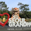 서울대공원 이미지
