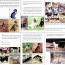 제주본토박이 | [도서후기] '한국의 개' - 토종개에 대한 불편한 진실 -