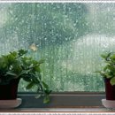 비천솔밭 이미지