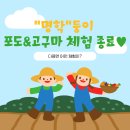 명학농장 이미지