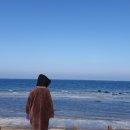 제주게스트하우스쑤기야 이미지