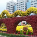 진주시청 이미지