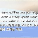 시원행정사사무소 이미지