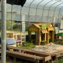 예빛유치원 이미지