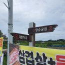 대청호오백리길 대청로하스길 이미지