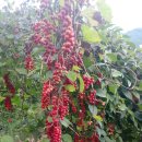 판산골농장 이미지