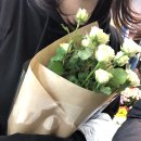 시나플라워
