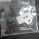 Japan iris 리쿠기사쿠라 이미지