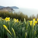 별 정원 이미지