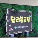 목포유달초등학교달리분교장 이미지