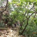 삼성초교 이미지