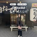 성메어린이공원 | [일본] 시즈오카 여행 필수코스, 슨푸 성 공원, 사와야카 함바그 맛집 후기