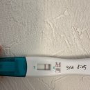 매직뉴스 | 동아 굿뉴스 얼리 임테기 시약선 매직아이 (아닌 후기!)