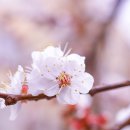 통영구가네펜션 이미지