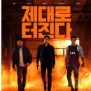 가자인터내셔널